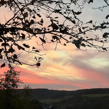 Am Baumwipfel Schalkenbach