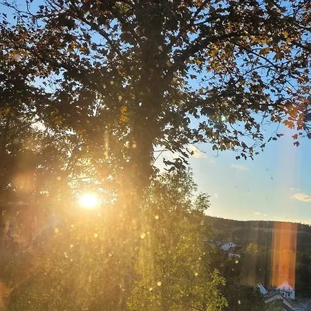 Am Baumwipfel Holiday home