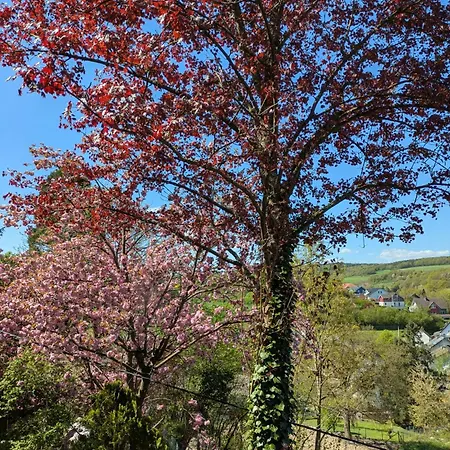 Am Baumwipfel Holiday home Schalkenbach