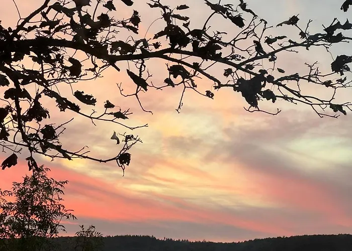 Am Baumwipfel Schalkenbach