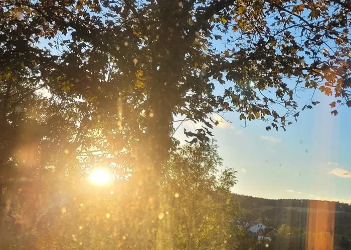 Am Baumwipfel Prázdninový dům