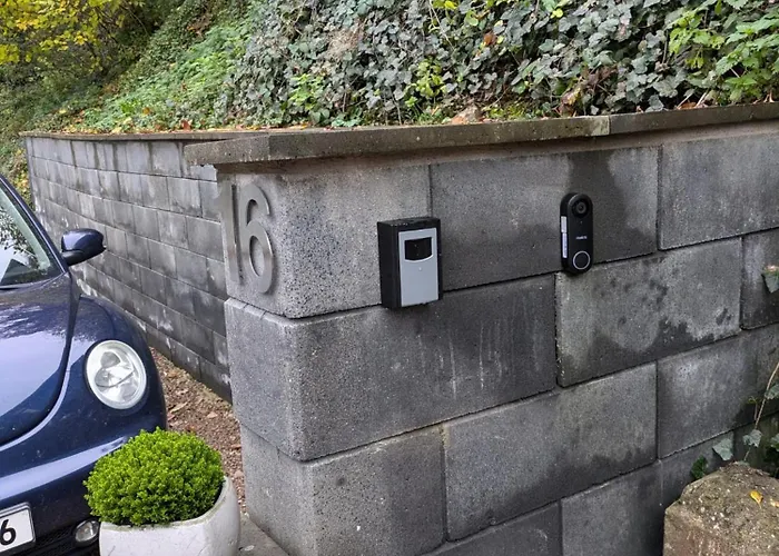 Am Baumwipfel * Schalkenbach