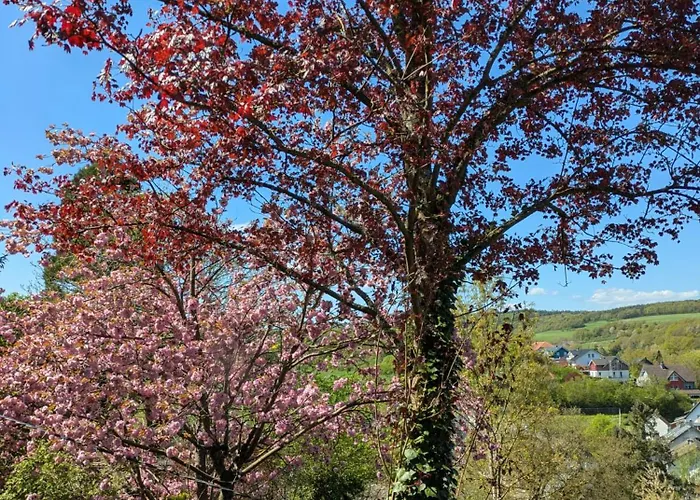 Am Baumwipfel Prázdninový dům Schalkenbach